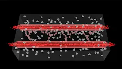 As blood is run through the artificial lumen laid down in the cell matrix growth factors trigger endothelial stem cells shown in red to differentiate into vascular endothelial cells generating capillaries for perfusion to all cells within the tissue As blood is run through the artificial lumen laid down in the cell matrix growth factors trigger endothelial stem cells shown in red to differentiate into vascular endothelial cells generating capillaries for perfusion to all cells within the tissue