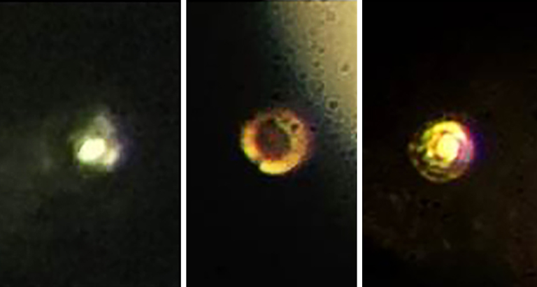 Metallic hydrogen 2020 image