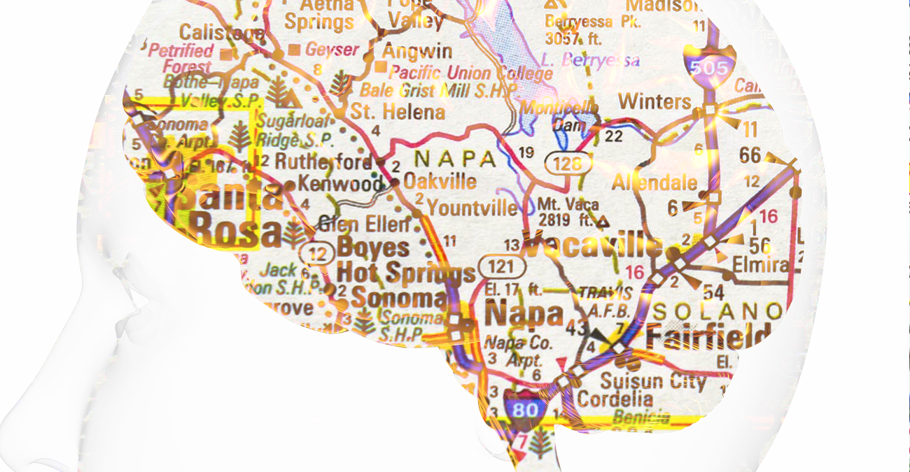 Brain Map large 5df7b46cd814e