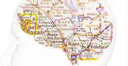 Brain Map large 5df7b46cd814e Brain Map large 5df7b46cd814e