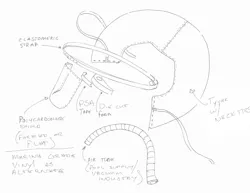 Disposable hood sketch. Disposable hood sketch.
