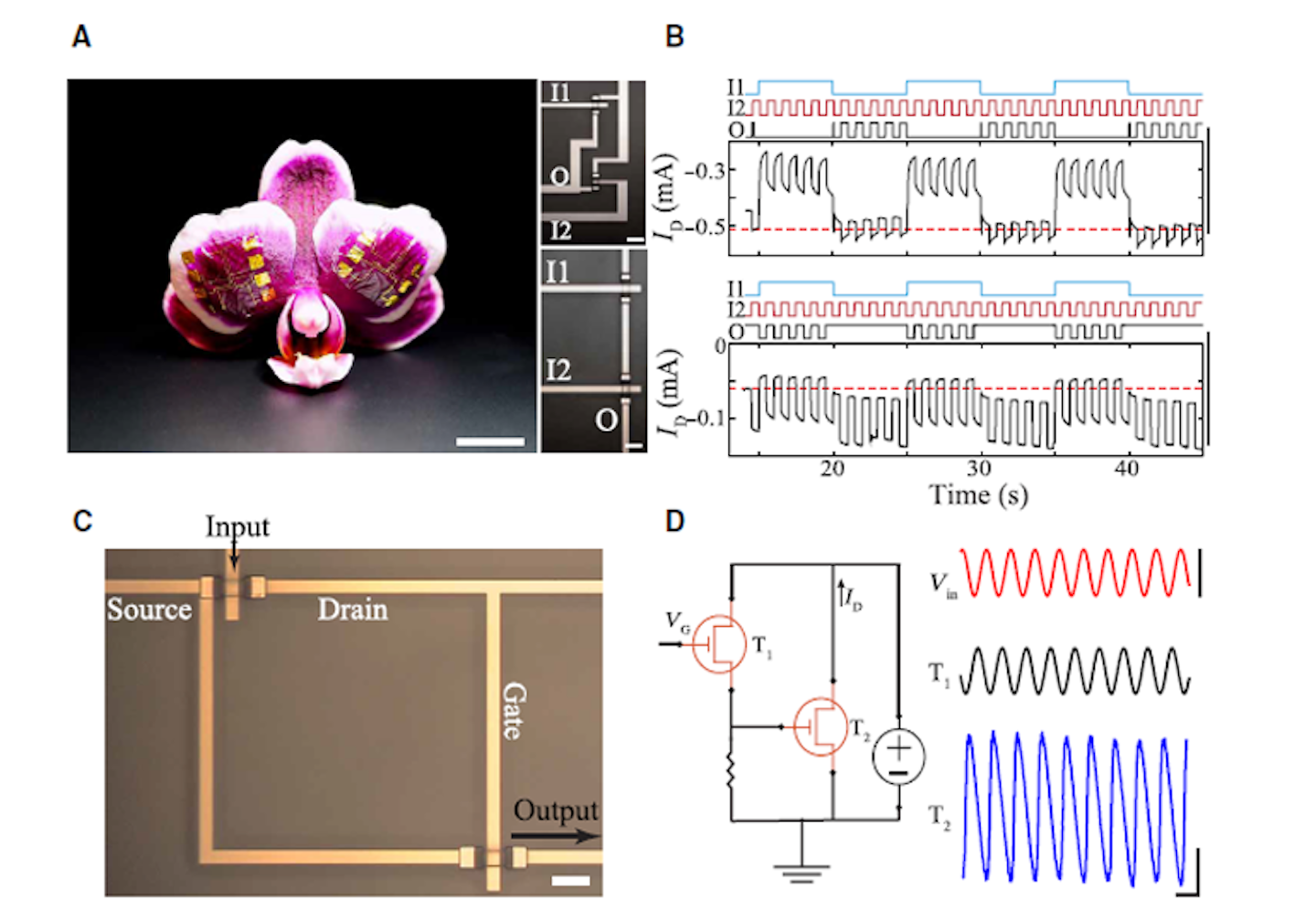 Ed Interest Organic Transistors Fig2