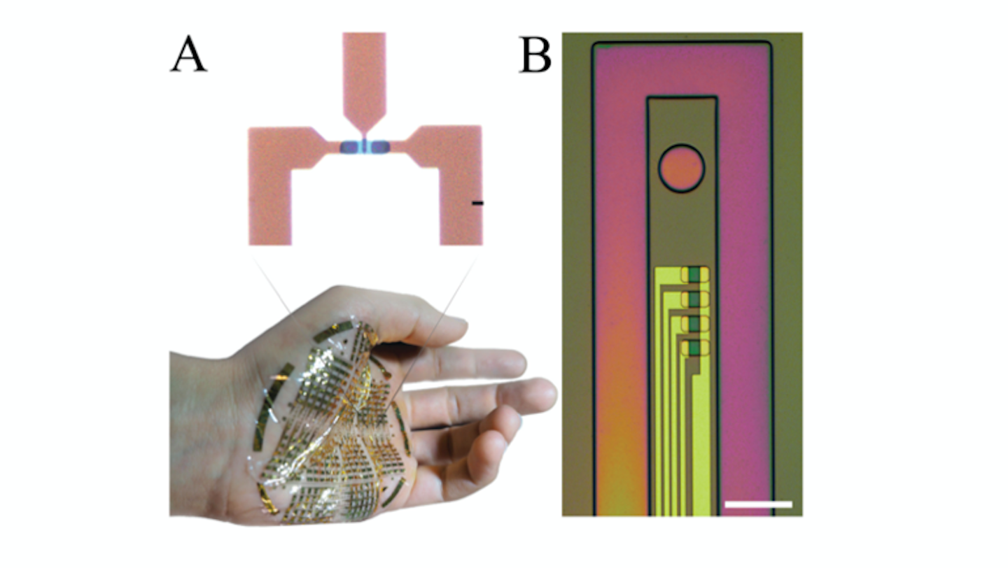 Ed Interest Organic Transistors Fig3