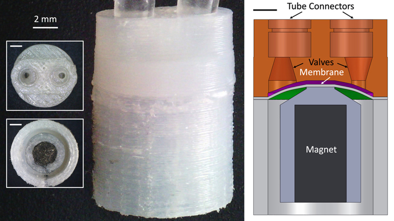 Ces images montrent les ports de la pompe (en haut) et l'aimant intégré (en bas).  Au centre, une vue latérale d'une pompe.  À droite: une coupe transversale d'une pompe magnétique monolithique imprimée en 3D.