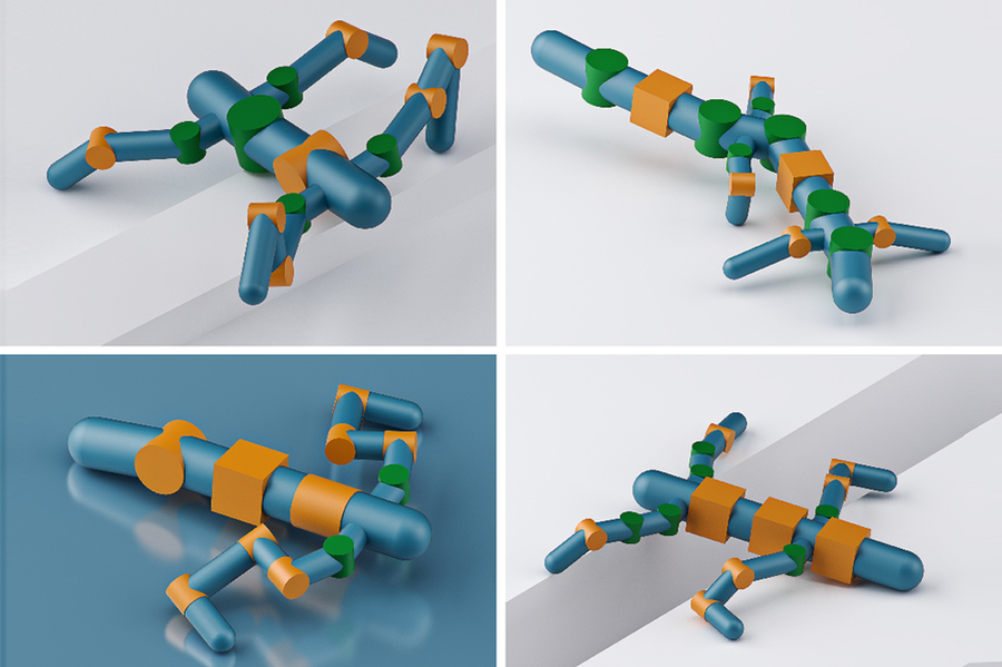Le système RoboGrammar crée des robots inspirés des arthropodes pour traverser une variété de terrains.  Sur la photo, plusieurs conceptions de robot générées avec RoboGrammar.
