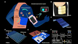 Patch photo collage Patch photo collage