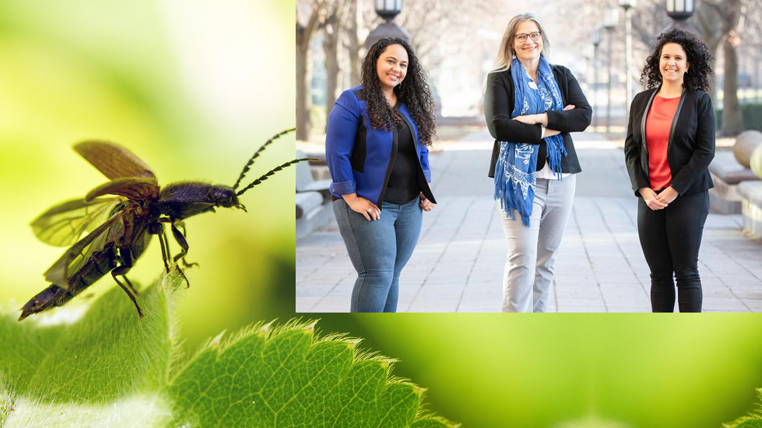 Aimy Wissa, Marianne Alleyne and Ophelia Bolmin