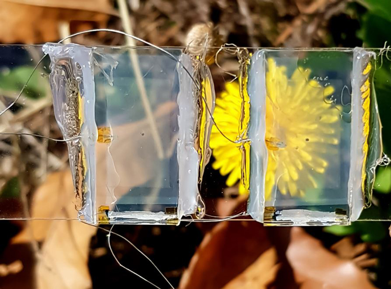 La cellule solaire créée par l'équipe est transparente, ce qui pourrait permettre l'utilisation de futures versions de celle-ci dans les fenêtres en verre des maisons et des gratte-ciel, ainsi que dans des applications plus petites telles que les montres et les téléphones portables.