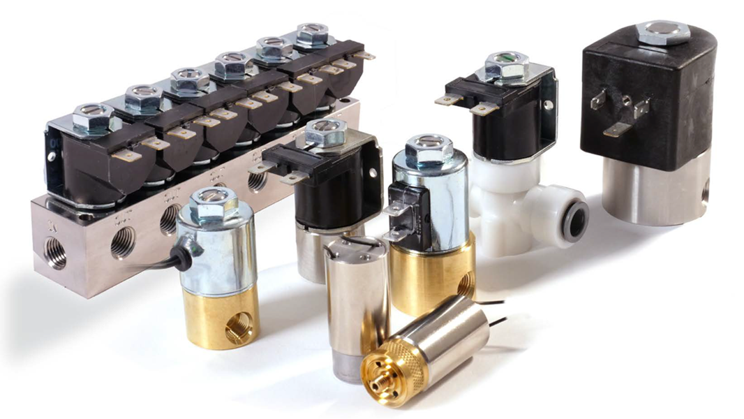 Picture1 619e745e6cf18