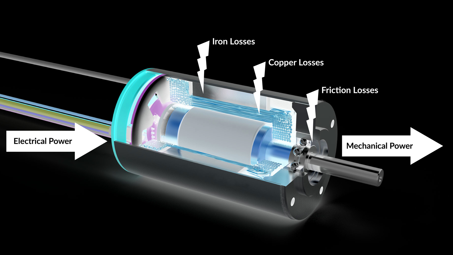 Cutaway of a Portescap BLDC