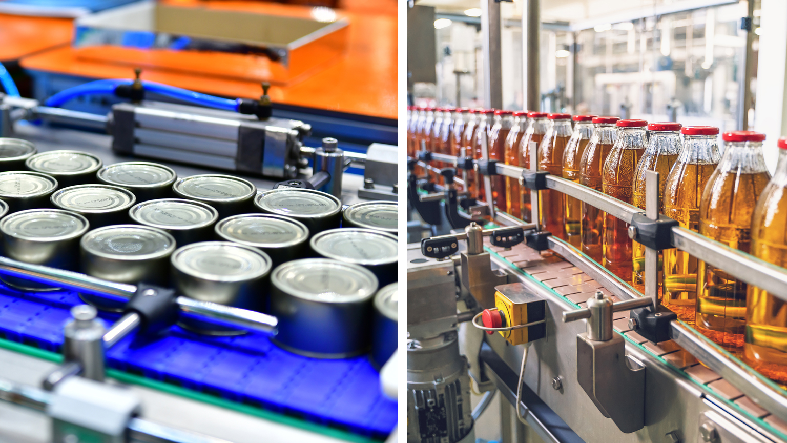 Food conveyor images