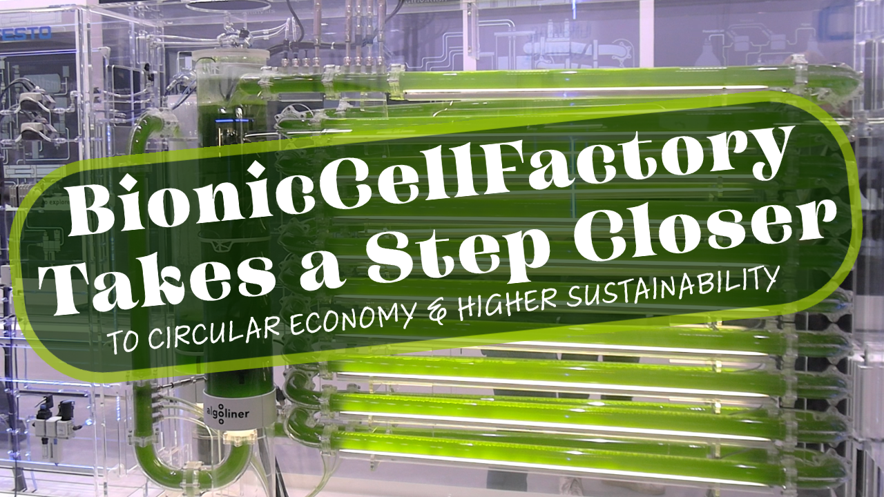 BionicCellFactory Takes a Step Closer to Circular Economy & Higher Sustainability thumbnail