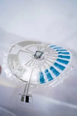 Ed Skin Patches Interest Fig6 645bc0790cf2f Ed Skin Patches Interest Fig6 645bc0790cf2f