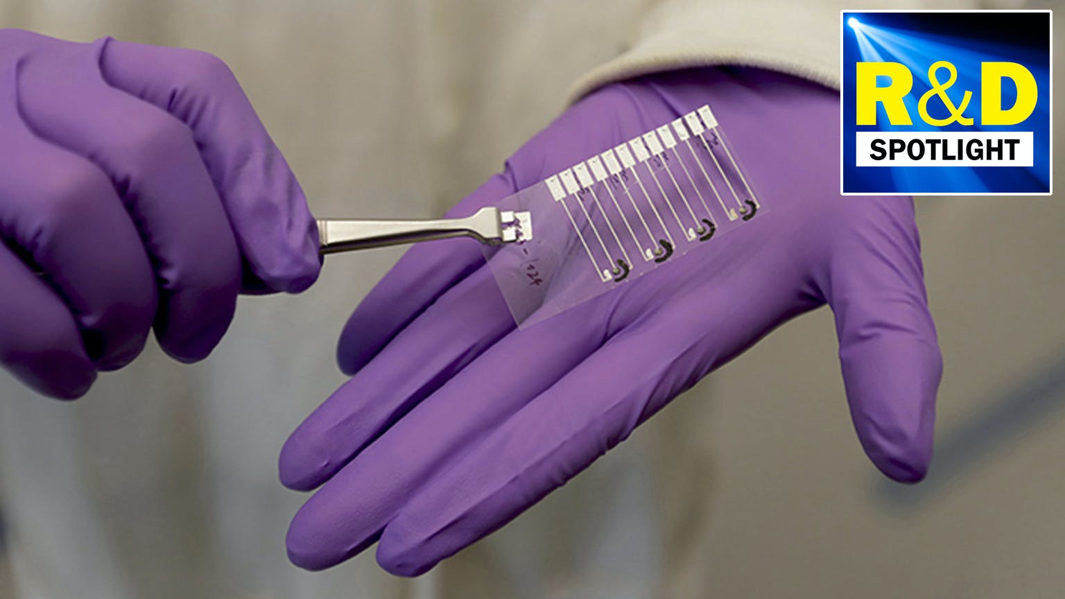 6554ff516a289b001efccab1 Promo 1