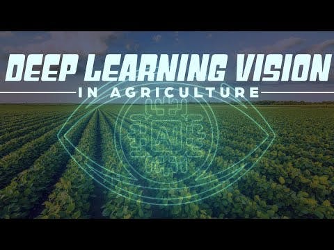 Deep Learning Vision in Agriculture
