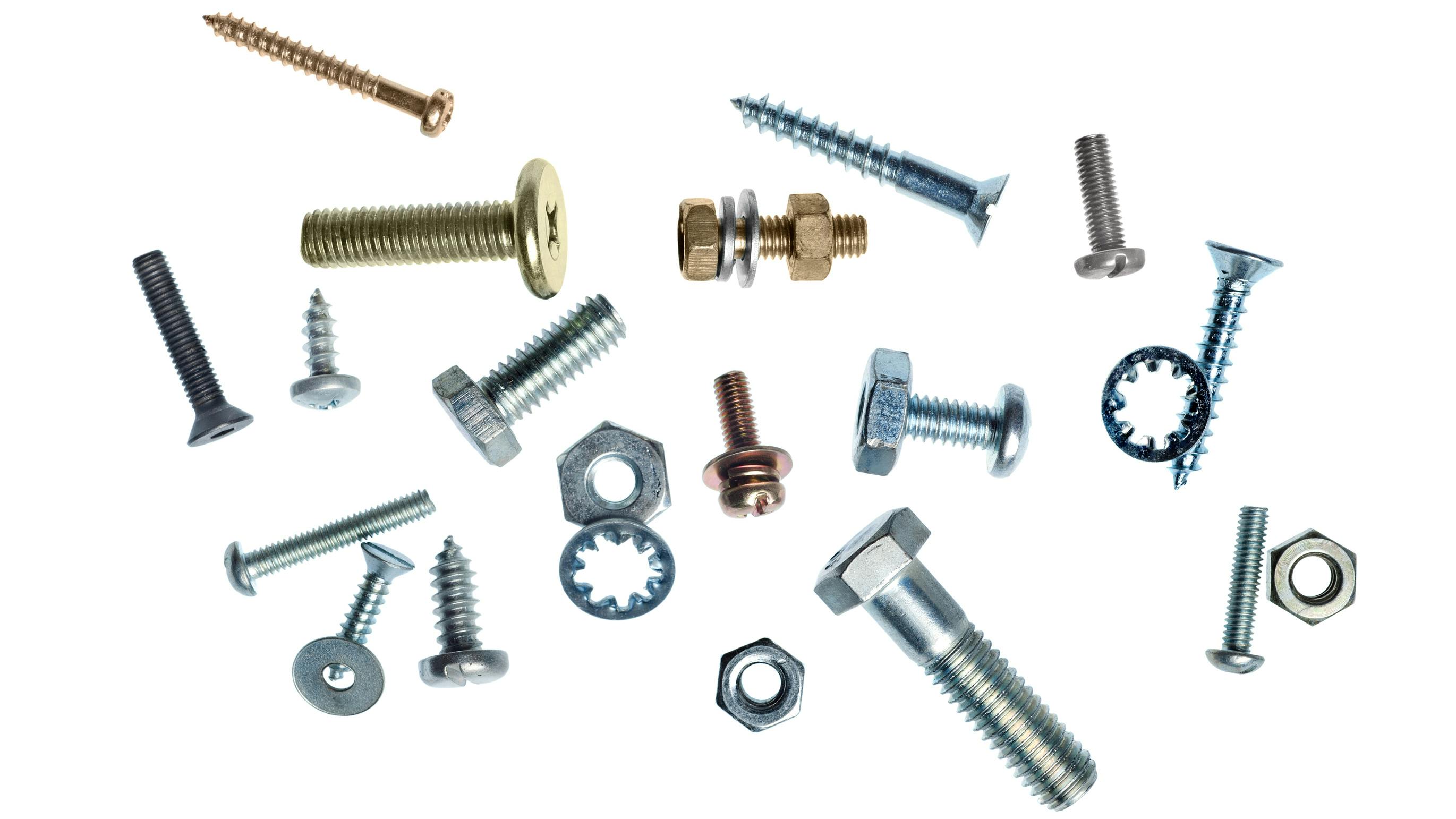 dreamstime_kelpfish_19955210_landingpage