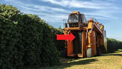Plastic shaker rods on coffee harvesting machine Plastic shaker rods on coffee harvesting machine