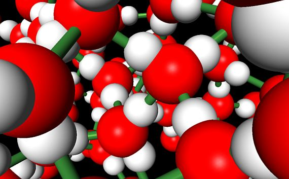 DARPA picks four to apply biology to sensors