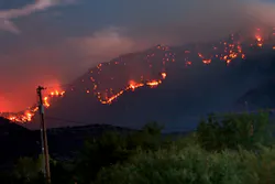 Osmose Wildfire Osmose Wildfire