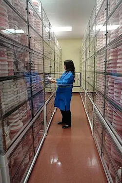 Pennwell web 280 420 Pennwell web 280 420