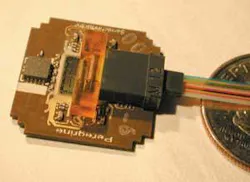 Th 0601mae N Peregrine01 Th 0601mae N Peregrine01