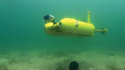 1607mae Uuvs 1607mae Uuvs