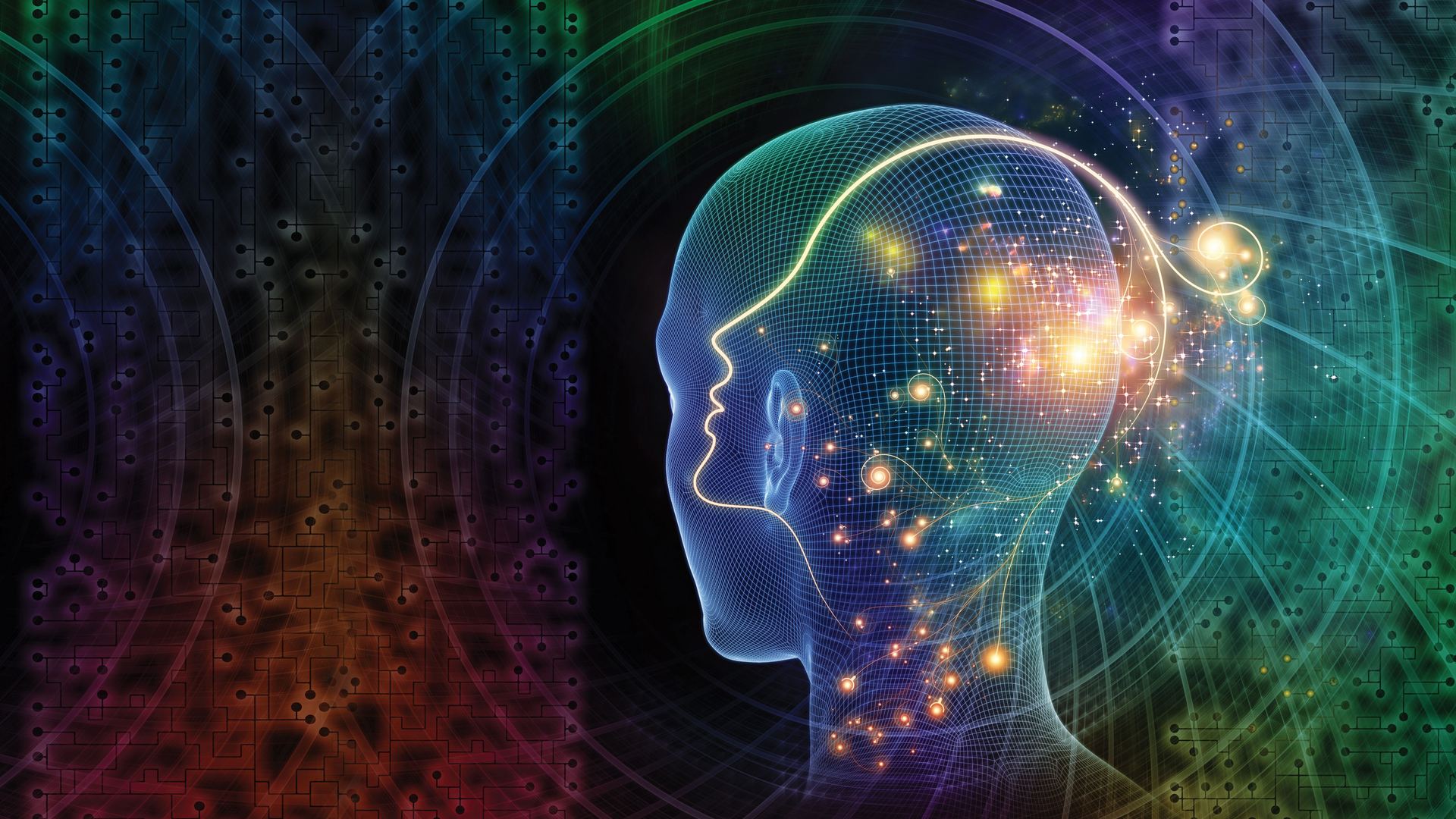 Darpa Vip 17 June 2019 5d07a6df5023d