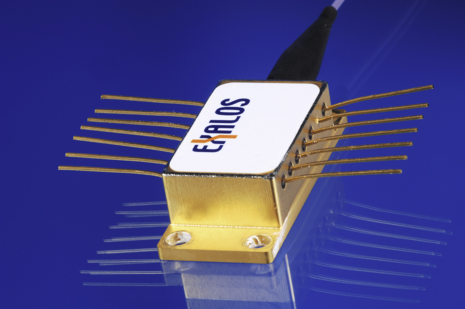 1310nm Superluminescent LIght Emitting Diodes