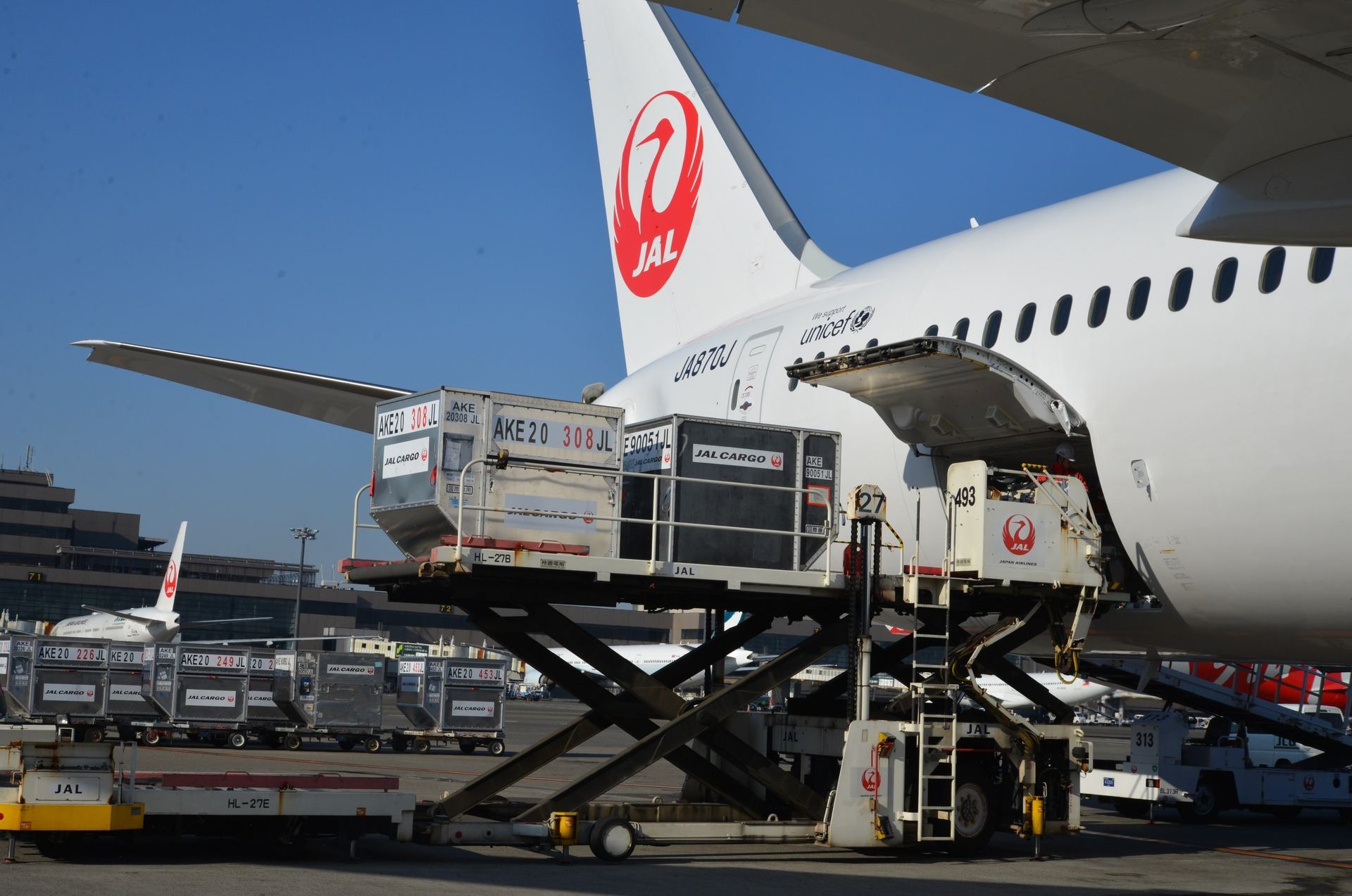Jal Cargo 5e6121cc1c0e0