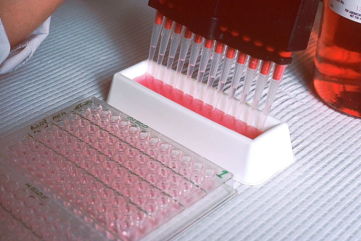 Pandemic Containing 19 March 2020 5e73880c469ac