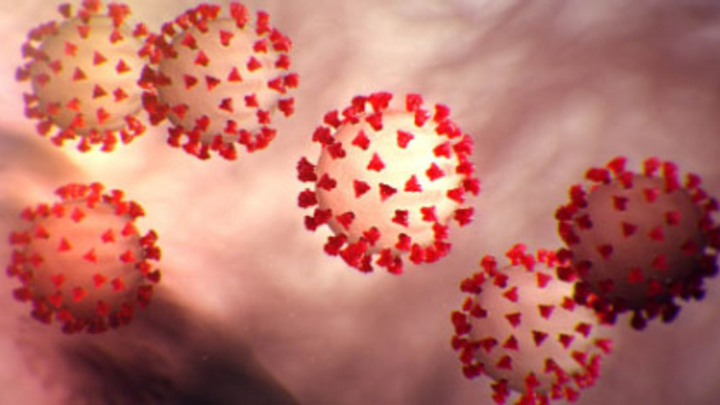 Coronavirus 23 March 2020 5e78e0ad0310d 5e7912b6ae558 5e8b5a16e09de