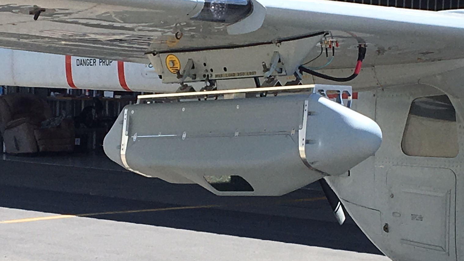 Black Kite 29 July 2020