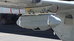 Black Kite 29 July 2020 Black Kite 29 July 2020