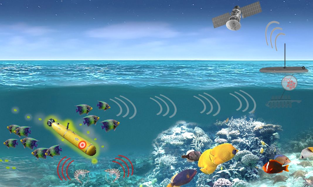 Infowar Research 3 Dec 2020 5fc7db3870668