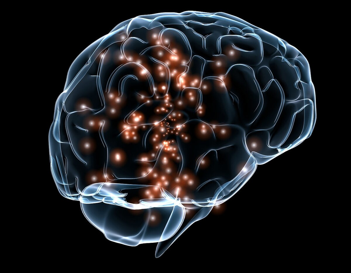 Brain Waves 10 Dec 2020 5fd1193e3375c