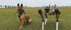 Sunny, a 325th Security Forces Squadron military working dog, poses next to a Quad-legged Unmanned Ground Vehicle at Tyndall Air Force Base, Fla. Sunny, a 325th Security Forces Squadron military working dog, poses next to a Quad-legged Unmanned Ground Vehicle at Tyndall Air Force Base, Fla.