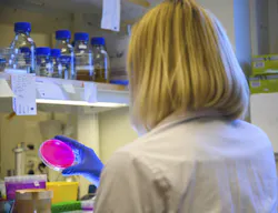 Dreamstime Xxl 172650844 62c4a01797c8d Dreamstime Xxl 172650844 62c4a01797c8d