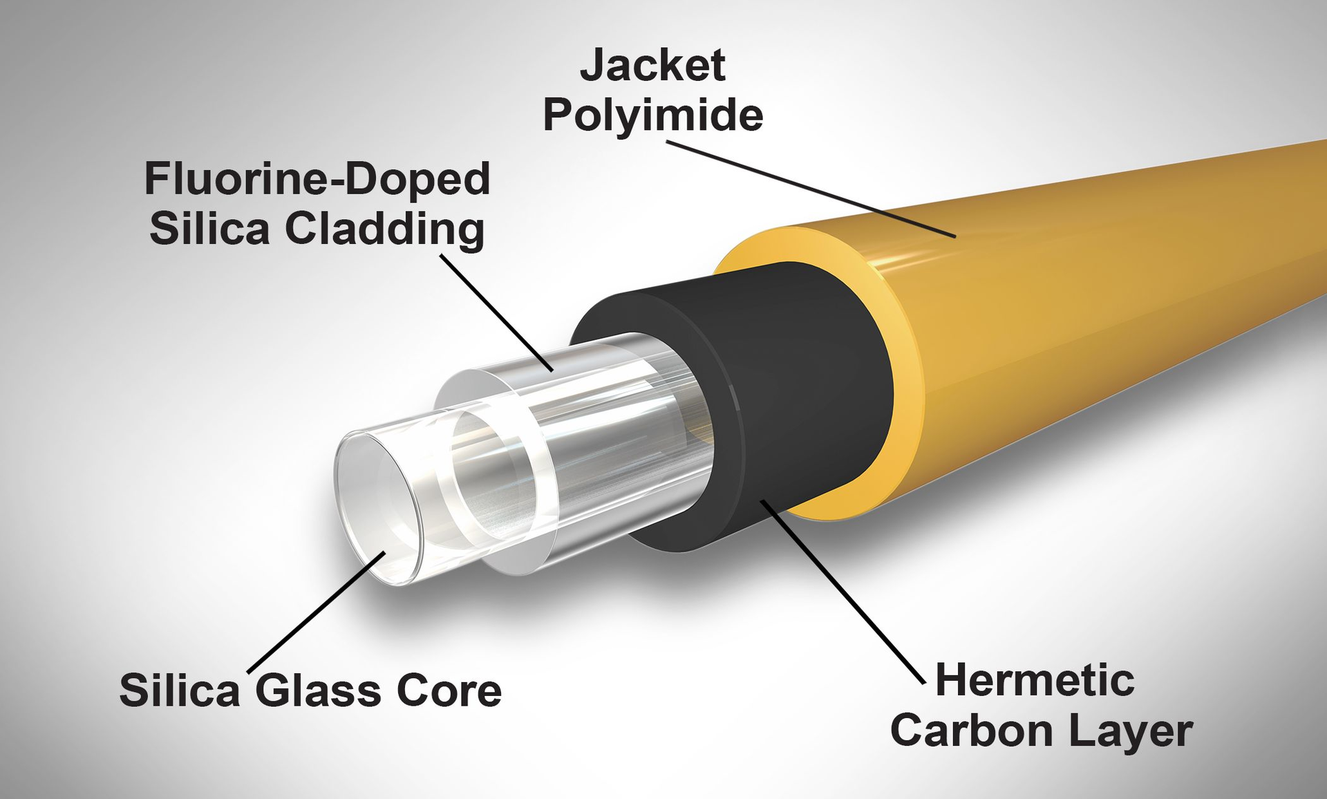 Armadillo 19 Sept 2022 63230a5a4d319