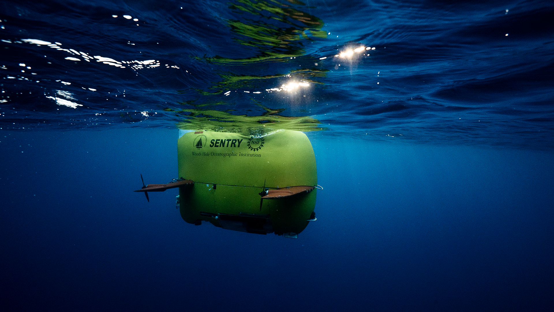 The Sentry autonomous underwater vehicle (AUV) is part of the National Deep Submergence Facility (NDSF), which is sponsored by the National Science Foundation, the Office of Naval Research, and the National Oceanic and Atmospheric Administration.