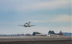 654e89e804d5c1001ec5237f Samson Ffimage 654e89e804d5c1001ec5237f Samson Ffimage