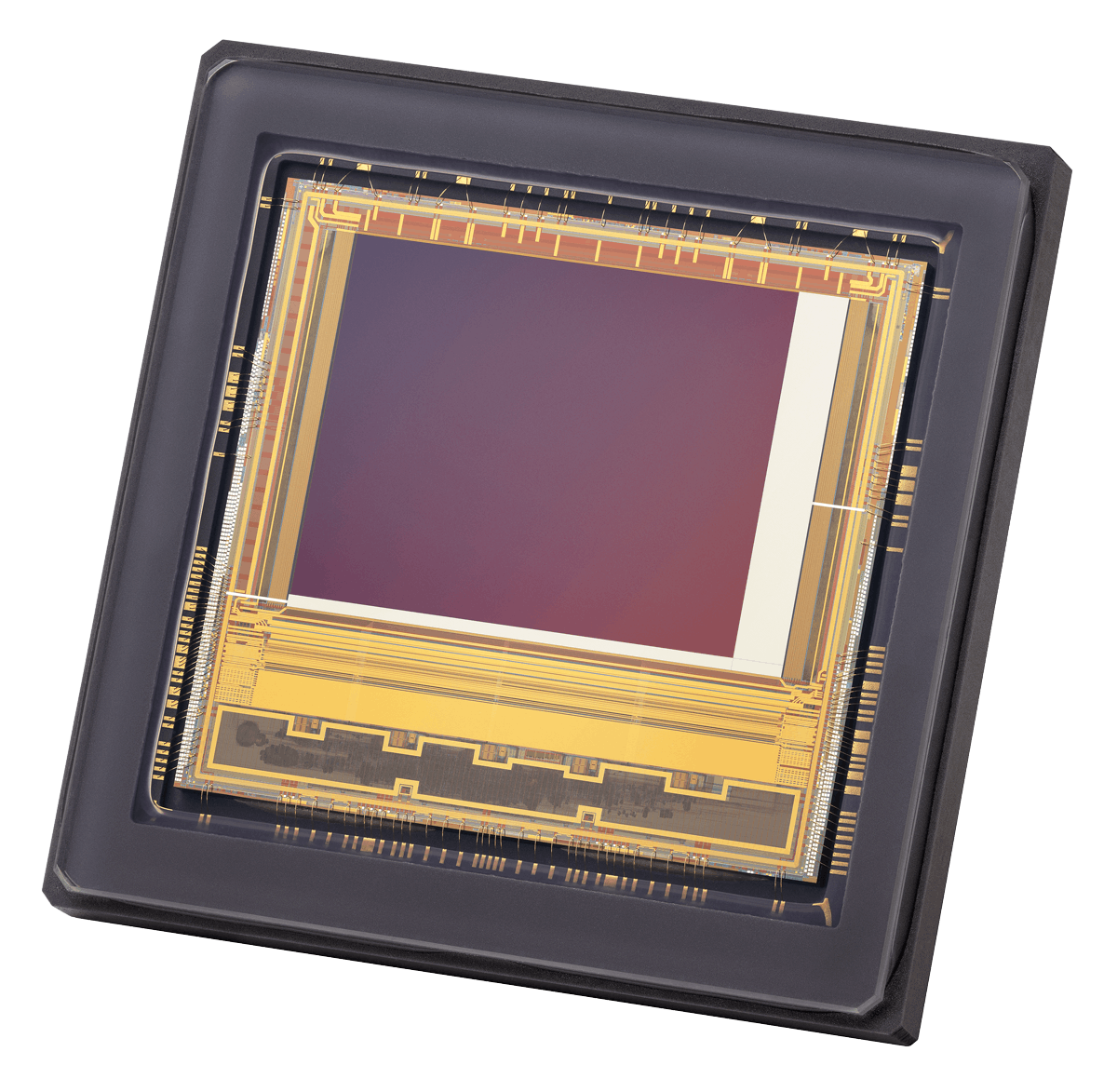 65cfc263f85e35001fbcdfab Teledyne E2v 19 Feb 2024