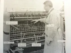 Mhlnews Com Sites Mhlnews com Files Uploads 2013 11 Fuel Cells 2 0 Mhlnews Com Sites Mhlnews com Files Uploads 2013 11 Fuel Cells 2 0