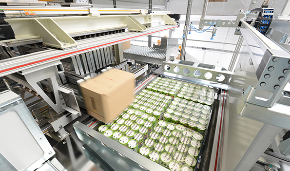 mixed case palletizing