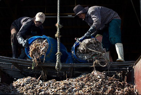 New Global Roadmap for Sustainable Food Supply Chain