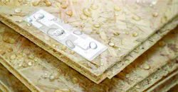 Smartrac SensThys RFID moisture sensor.jpg Smartrac SensThys RFID moisture sensor.jpg