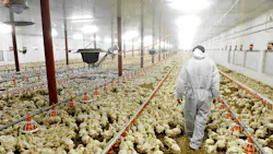 Workers Critical to World’s Food Supply Are Starting to Fall Ill Workers Critical to World’s Food Supply Are Starting to Fall Ill