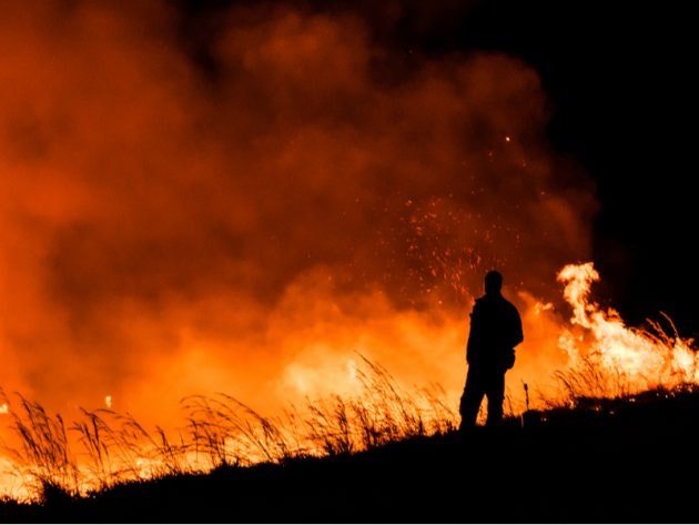 wildfire-in-california-e1591910316240