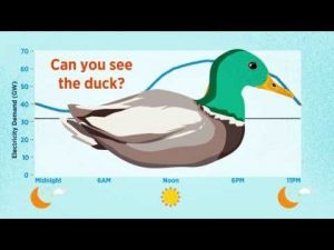 1663213109226 Duckcurve300x225