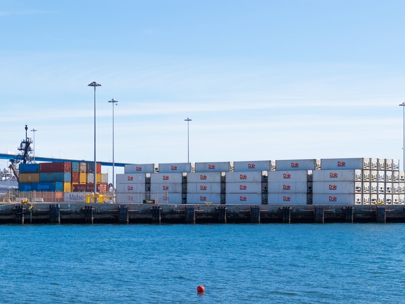 Tenth Avenue Marine Terminal in San Diego. By Sherry V Smith/Shutterstock.com