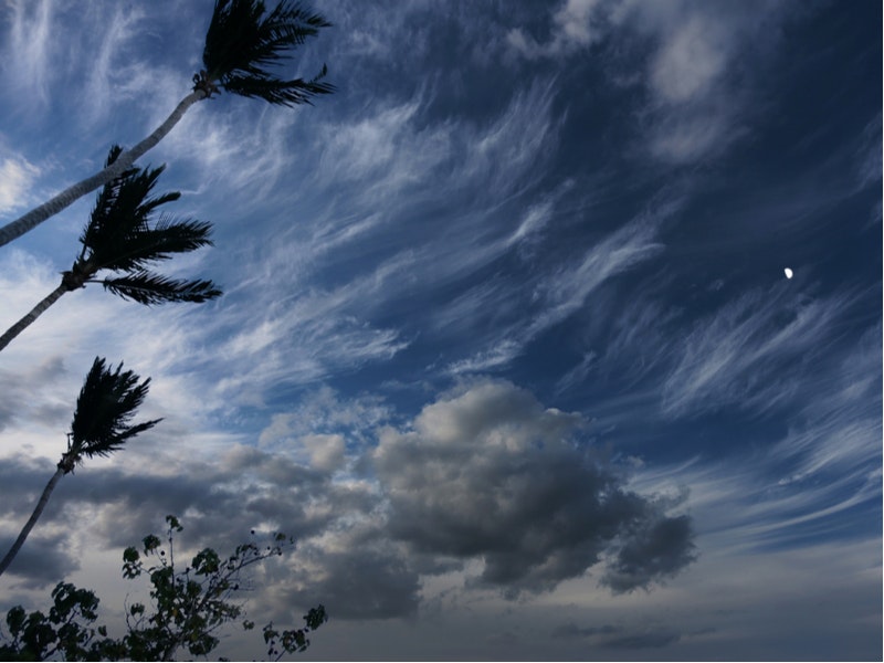 By Elijah Lovkoff/Shutterstock.com